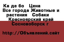 Ка де бо › Цена ­ 25 000 - Все города Животные и растения » Собаки   . Красноярский край,Сосновоборск г.